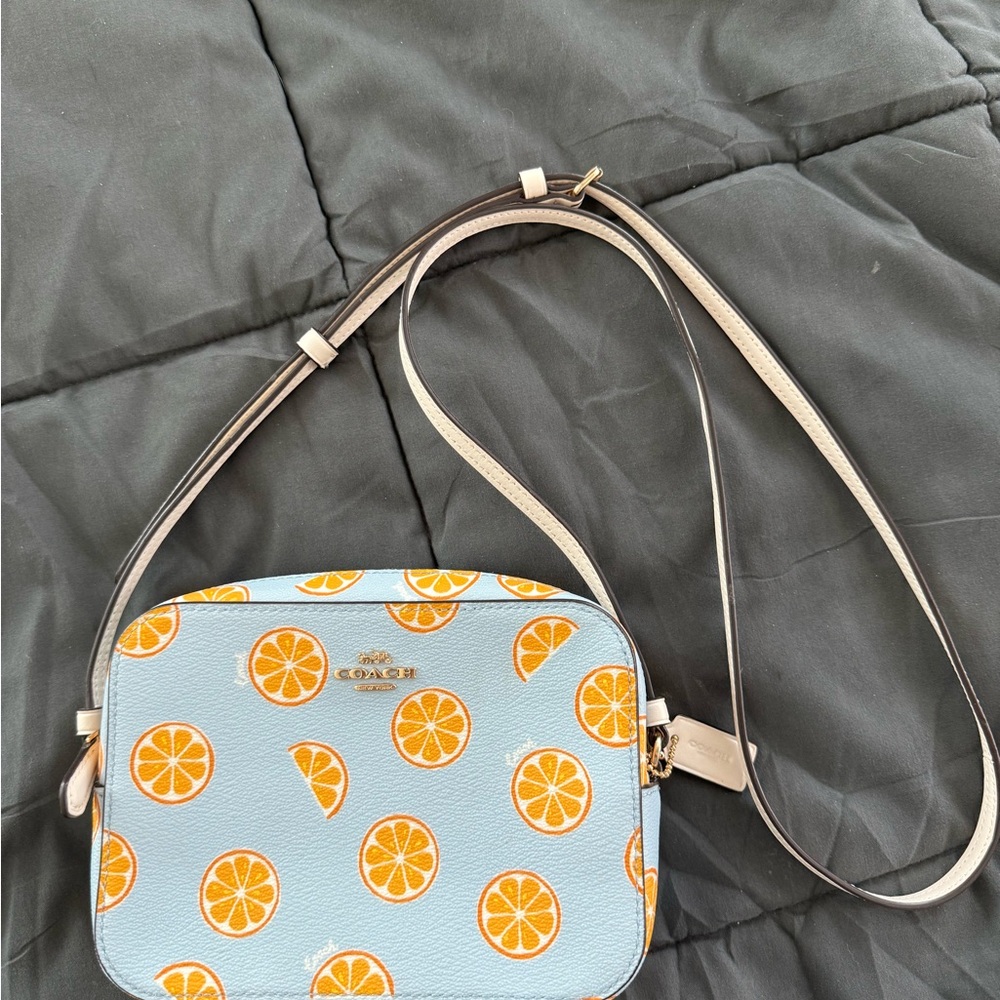 Coach Blue and Orange Citrus Crossbody Bag